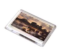 FRIDGE MAGNET - Vintage Norfolk - An Old Time Ferry on the Broads (b)