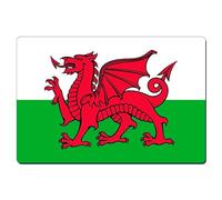 Fridge Magnet Wales Flag 8.5cm x 5.4cm Sl loss Aluminium The Red Dragon