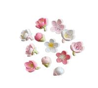 Fridge Magnets 12 Pcs, Small Cute Flower Magnets 3D Colorful Floral Refrigerator Magnets | Heavy Duty Whiteboard Strong Magnets | Novelty Fridge Magnets for Crafts,Whiteboard,Fridge,Notice Boards