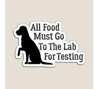Fridge Magnets All Food Must Go To The Lab For Testing Acrylic Meme Decoration for Home Kitchen Office