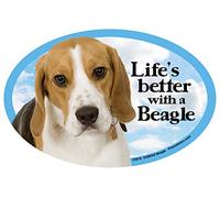 Fridge Magnets Beagle Hound Gift - Life's Better - Large Fun flexible size 6.25" x 4.25"