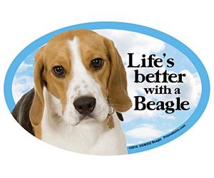 Fridge Magnets Beagle Hound Gift - Life's Better - Large Fun flexible size 6.25" x 4.25"