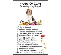 Fridge Magnets Beagle Hound Gift - Property Laws - Large Fun flexible size 16 cms x 10 cms (approx. 6 x 4 inches)