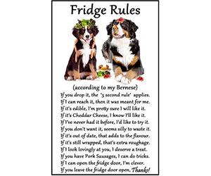 Fridge Magnets Bernese Mountain Dog Gift - Fridge Rules - Large Fun flexible size 16cms x 10 cms (approx. 6" x4")