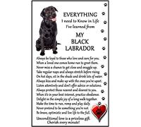 Fridge Magnets Black Lab, Labrador Lover (I Learned from my Black Lab) Gift - Large Fun flexible size 16cms x 10 cms (approx. 6" x4")