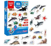 Fridge magnets for kids MAGDUM Sea animals Photo - 30 Large fridge magnets for kids - Magnets for fridge magnets for toddlers - Large magnet - Kids fridge magnets - Toy magnets for whiteboards