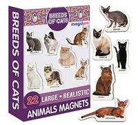 Fridge Magnets For Toddlers Magdum - 22 CAT breeds PHOTO Fridge Magnets - Animal Magnets For Toddlers - Fridge Magnets For Kids - Kids Magnets - Magnetic Shapes - Magnet Toy - Kids Magnets For Fridge