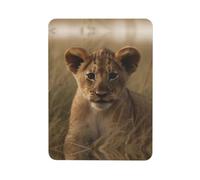 Fridge Magnets Heavy Duty Round Small Magnets The Waiting Lion Cub Refrigerator Magnets Decorative Mini Strong Magnets for Whiteboard Kitchen Refrigerator Office Home Decor