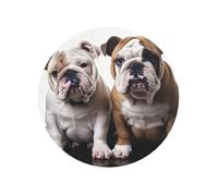 Fridge Magnets Heavy Duty Strong Magnets Mini Cute Refrigerator Magnet Novelty Fridge Sticker Magnetic Two Cute Bulldog Dogs Decorative Magnet for Whiteboard Cabinet Locker Kitchen