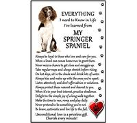 Fridge Magnets Springer Spaniel Lover (I Learned from my Springer Spaniel) Gift - Large Fun flexible size 16cms x 10 cms (approx. 6" x4")