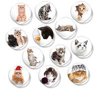 Fridge Magnets Strong - 3cm Round White Board Magnets - Whiteboard Magnets for Fridge - Funny Fridge Magnets for Glass Kitchen Office and School Notice Board (12 PCS, Cats)
