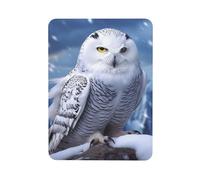Fridge Magnets Waterproof Heavy Duty Small Magnets for Fridge Arctic Owl Refrigerator Magnets Mini Rectangular Cute Decorative Magnets for Crafts Home Kitchen Office Whiteboard Decor
