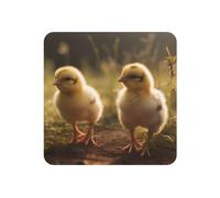 Fridge Magnets Waterproof Heavy Duty Small Magnets for Fridge Chicks in the Field Refrigerator Magnets Mini Round Cute Decorative Magnets for Crafts Home Kitchen Office Whiteboard Decor