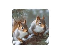 Fridge Magnets Waterproof Heavy Duty Small Magnets for Fridge Little Squirrel Refrigerator Magnets Mini Round Cute Decorative Magnets for Crafts Home Kitchen Office Whiteboard Decor