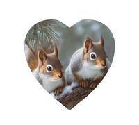 Fridge Magnets Waterproof Heavy Duty Small Magnets for Fridge Little Squirrel Refrigerator Magnets Mini Round Cute Decorative Magnets for Crafts Home Kitchen Office Whiteboard Decor