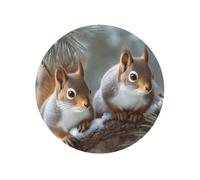 Fridge Magnets Waterproof Heavy Duty Small Magnets for Fridge Little Squirrel Refrigerator Magnets Mini Round Cute Decorative Magnets for Office Kitchen Home Decor