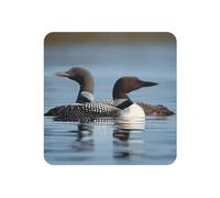 Fridge Magnets Waterproof Heavy Duty Small Magnets for Fridge Loon Birds Refrigerator Magnets Mini Round Cute Decorative Magnets for Crafts Home Kitchen Office Whiteboard Decor
