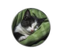 Fridge Magnets Waterproof Heavy Duty Small Strong Magnet Black And White Cat Refrigerator Magnets Cute Magnetic Locker Accessories Mini Decorative Magnet for Whiteboard Office Kitchen Decor