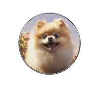 Fridge Magnets Waterproof Heavy Duty Small Strong Magnet Cute Pomeranian Refrigerator Magnets Cute Magnetic Locker Accessories Mini Decorative Magnet for Whiteboard Office Kitchen Decor