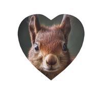 Fridge Magnets Waterproof Heavy Duty Small Strong Magnet Cute Red Squirrel Refrigerator Magnets Cute Magnetic Locker Accessories Mini Decorative Magnet for Whiteboard Office Kitchen Decor