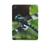 Fridge Magnets Waterproof Heavy Duty Small Strong Magnet Dragonfly on the Leaf Refrigerator Magnets Cute Magnetic Locker Accessories Mini Decorative Magnet for Whiteboard Office Kitchen Decor