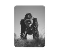 Fridge Magnets Waterproof Heavy Duty Small Strong Magnet Gorilla in the Grass Refrigerator Magnets Cute Magnetic Locker Accessories Mini Decorative Magnet for Whiteboard Office Kitchen Decor