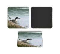 Fridge Magnets Waterproof Small Strong Magnets for Fridge Loon Nature Birds Refrigerator Magnets Kitchen Accessories Cute Decorative Magnets for Whiteboard Locker Office Home Decor