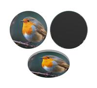 Fridge Magnets Waterproof Small Strong Magnets for Fridge Robin on Branch Refrigerator Magnets Kitchen Accessories Cute Decorative Magnets for Whiteboard Locker Office Home Decor