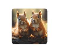 Fridge Magnets Waterproof Small Strong Magnets for Fridge Squirrel Animal Refrigerator Magnets Kitchen Accessories Cute Decorative Magnets for Whiteboard Locker Office Home Decor