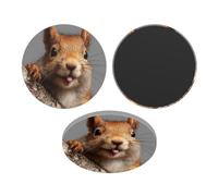 Fridge Magnets Waterproof Small Strong Magnets for Fridge Squirrel Funny Animal Refrigerator Magnets Kitchen Accessories Cute Decorative Magnets for Whiteboard Locker Office Home Decor