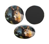Fridge Magnets Waterproof Small Strong Magnets for Fridge Squirrel in the Forest Refrigerator Magnets Kitchen Accessories Cute Decorative Magnets for Whiteboard Locker Office Home Decor