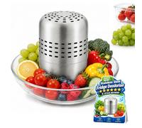 Fridge Purifier Unscented Stainless Steel, Fridge Deodoriser, Air purifier, Destroys Odors At, Keeps Food Fresher Longer, Reusable, Environmental Protection (1PCS)