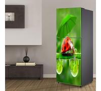 Fridge Wraps Kitchen Fridge Stickers Cover Full Doors, Fridge Sticker Full Covering Door Fridge Covers Decor, Freezer Skins Wall Stickers for Kitchen Decal, Ladybugs with Green Umbrella
