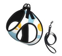 Fried Eggs Seamless Pattern,Pet Harness,Adjustable Reflective Dog Harness,Pet Leash Vest,L