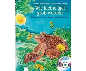 Friederun Reich Wie kleine Igel groß werden: Sachbilderbuch über Umwe (Hardback)