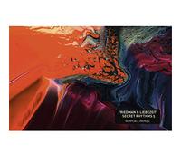 Friedman & Liebezeit - Secret Rhythms 5