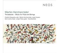 FRIEDRICH GAUWERKY & MARTIN HERCHENRODER - TERZATTACKE - MUSIC FOR FLUTES AND ST