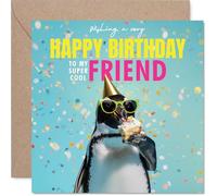 Friend Birthday Card - Bird-day Cake - Happy Birthday Card for Friend from Best Friends Bestie, 145mm funny penguin Bday Greeting Cards