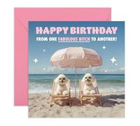 Friend Birthday Card - One Fabulous B*tch - Greeting Card for Her, Besties, BFF, Close Friends, Sister, Sis, Colleagues, Women, Ladies, Girls, Fur Mum, Dog Lovers - Comes with Fun Stickers