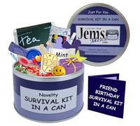 Friend Birthday Survival Kit in a Can - Funny Novelty Gift for Best Friend - Unique Birthday Present for Him or Her - Quirky Keepsake Gift Box Packed with Fun (Purple/Lilac)