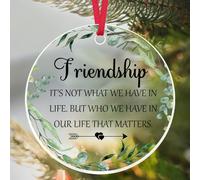 Friend Christmas Ornament Gift Friend Birthday Gifts for Women Acrylic Ornament Friendship Gifts for Women Men Gift for Best Friends Bff Bestie Coworker Moving Away Leaving Acrylic Keepsake Plaque