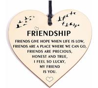 Friend Gifts for Women Christmas I'm Lucky My Friend Is You Friendship Gift for Special Friend Female Plaque for Xmas/Birthday Bff Friends Colleagues Leaving Miss You Star Sign