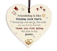 Friend Gifts for Women Friendship Gift Birthday Girlfriend Wooden Hanging Heart Plaque Cute Funny Inspirational Quote Special Gifts for Women