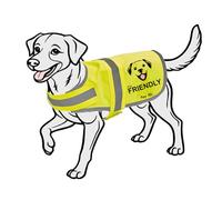 Friendly Dog reflective Vest, Hi Vis Jacket, K9 hi-viz, Keep you Safe on the Roads, Safety dog clothing. (Yellow, M)