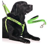 FRIENDLY (Known as Friendly to all) Green Colour Coded L-XL Non-Pull Dog Harness and 60cm 1.2m 1.8m Luxury Neoprene Padded Handle Lead Sets PREVENTS Accidents By Warning Others Of Your Dog In Advance (Harness & 60cm)