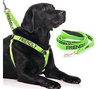 FRIENDLY (Known as Friendly to all) Green Colour Coded L-XL Non-Pull Dog Harness and 60cm 1.2m 1.8m Luxury Neoprene Padded Handle Lead Sets PREVENTS Accidents By Warning Others Of Your Dog In Advance (Harness & 1.8m)