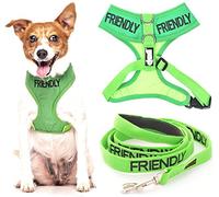 FRIENDLY (Known as Friendly to all) Green Colour Coded Non-Pull Front and Back D Ring Padded and Waterproof Vest Dog Harness S M and 1.2m or 1.8m Neoprene Padded Lead Set PREVENTS Accidents By Warning Others Of Your Dog In Advance (S & 1.2m)