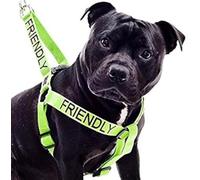 FRIENDLY (Known as Friendly to all) Green Colour Coded Non Pull L-XL Dog Harness PREVENTS Accidents By Warning Others Of Your Dog In Advance