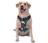 Friendly Smiling Sharks Pattern Dog Harness - Lightweight,Soft,Adjustable Small Harness and Leash Set, Suitable for Puppy Small and Medium-Sized Dog-Small