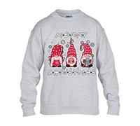 Friends Christmas Mens Sweatshirt Xmas Boys Pullover Party Christmas Jumper Funny Gnomes Novelty Unisex Gift Girls Kids Sweat Top Printed Design Sport Grey - Youth Large (Age 9-11)